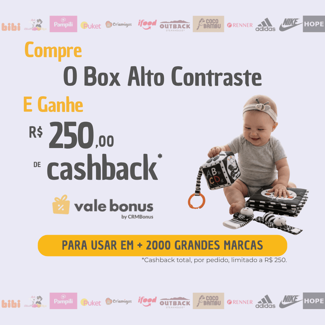 Box Alto Contraste