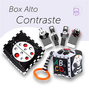 Box Alto Contraste